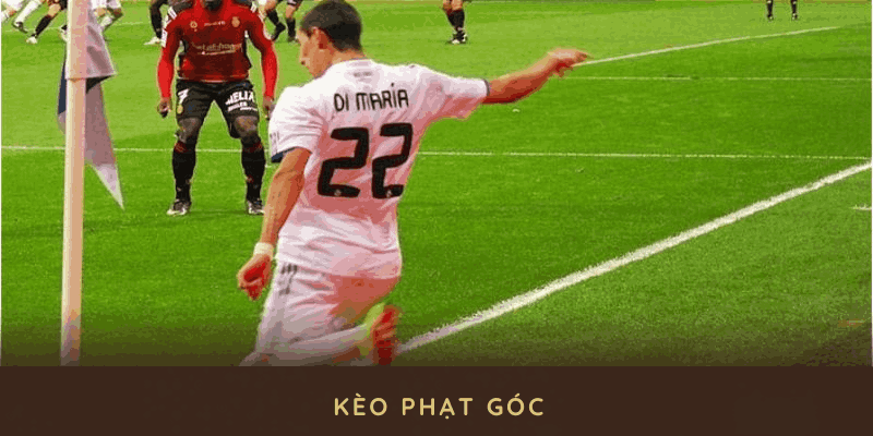 keo-phat-goc-1